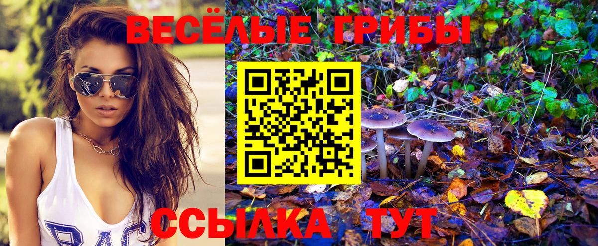 Симферополь  Галлюциногенные грибы MAGIC MUSHROOMS  Галлюциногенные грибы MAGIC MUSHROOMS  Вход с VPN 