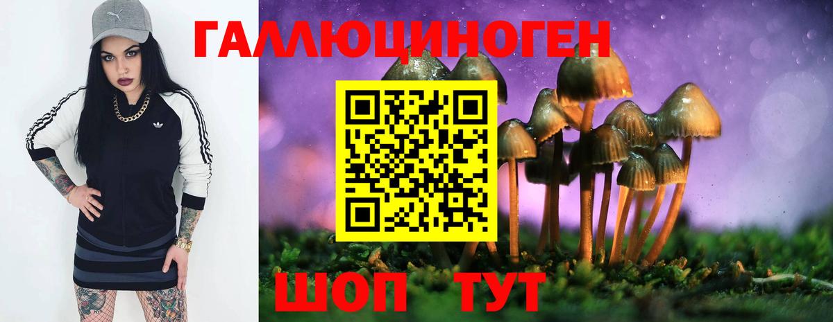 Псилоцибиновые грибы Psilocybe Симферополь